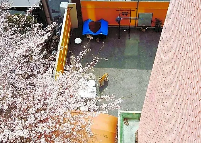 Long Sinchon Hongdae Hotel